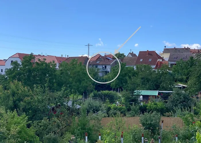 Zeit In Hambach Neustadt an der Weinstraße